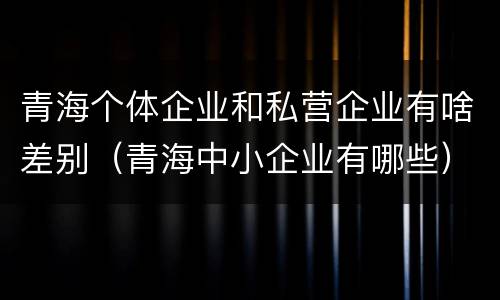 青海个体企业和私营企业有啥差别（青海中小企业有哪些）