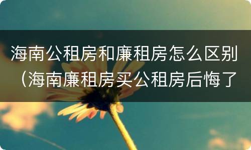 海南公租房和廉租房怎么区别（海南廉租房买公租房后悔了）
