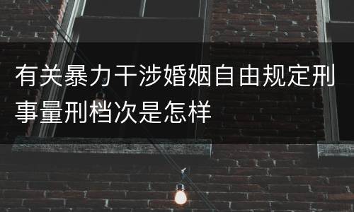 有关暴力干涉婚姻自由规定刑事量刑档次是怎样