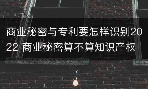 商业秘密与专利要怎样识别2022 商业秘密算不算知识产权