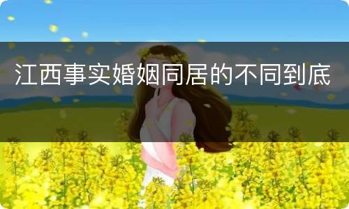 江西事实婚姻同居的不同到底