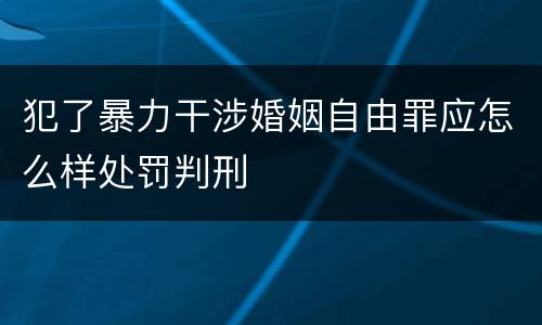 犯了暴力干涉婚姻自由罪应怎么样处罚判刑