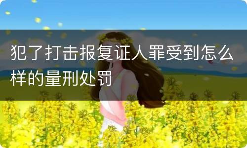 犯了打击报复证人罪受到怎么样的量刑处罚