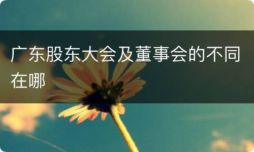 广东股东大会及董事会的不同在哪