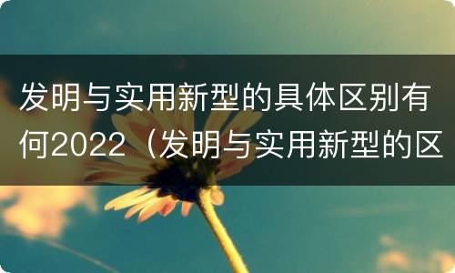发明与实用新型的具体区别有何2022（发明与实用新型的区别有哪些）