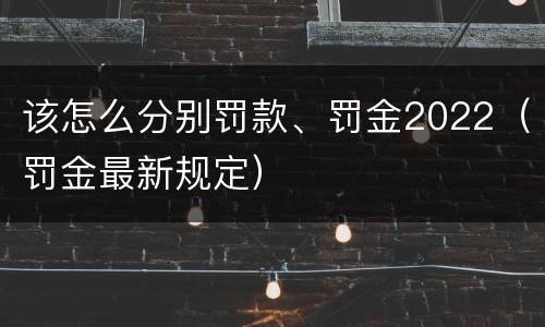 该怎么分别罚款、罚金2022（罚金最新规定）