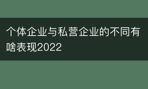 个体企业与私营企业的不同有啥表现2022