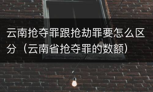 云南抢夺罪跟抢劫罪要怎么区分（云南省抢夺罪的数额）