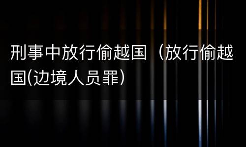 刑事中放行偷越国（放行偷越国(边境人员罪）