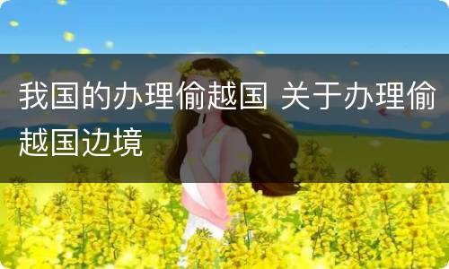 我国的办理偷越国 关于办理偷越国边境