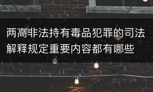两高非法持有毒品犯罪的司法解释规定重要内容都有哪些
