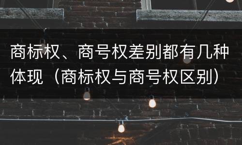 商标权、商号权差别都有几种体现（商标权与商号权区别）