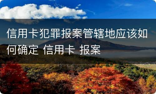 信用卡犯罪报案管辖地应该如何确定 信用卡 报案