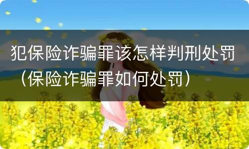 犯保险诈骗罪该怎样判刑处罚（保险诈骗罪如何处罚）