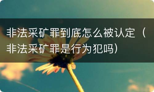 非法采矿罪到底怎么被认定（非法采矿罪是行为犯吗）