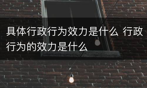 具体行政行为效力是什么 行政行为的效力是什么