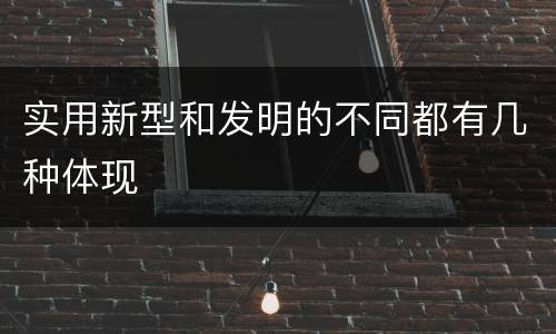 实用新型和发明的不同都有几种体现