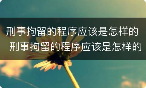 刑事拘留的程序应该是怎样的 刑事拘留的程序应该是怎样的呢