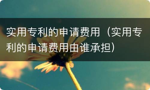 实用专利的申请费用（实用专利的申请费用由谁承担）