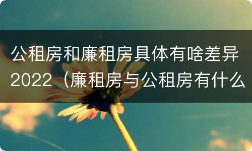 公租房和廉租房具体有啥差异2022（廉租房与公租房有什么不同）