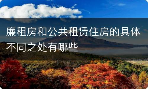 廉租房和公共租赁住房的具体不同之处有哪些