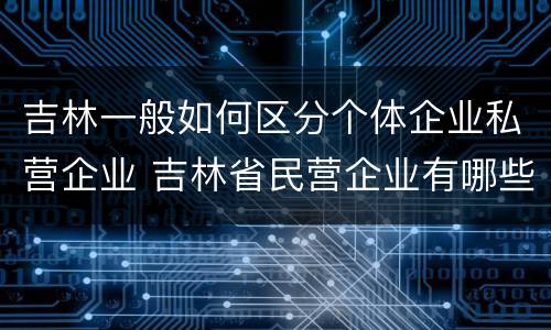 吉林一般如何区分个体企业私营企业 吉林省民营企业有哪些