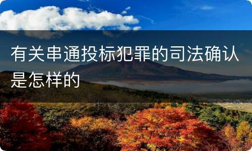 有关串通投标犯罪的司法确认是怎样的