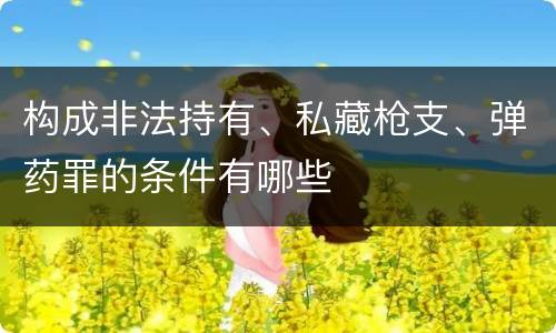 构成非法持有、私藏枪支、弹药罪的条件有哪些