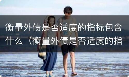 衡量外债是否适度的指标包含什么（衡量外债是否适度的指标包含什么意思）