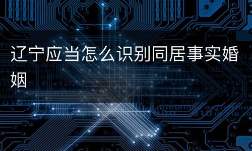 辽宁应当怎么识别同居事实婚姻