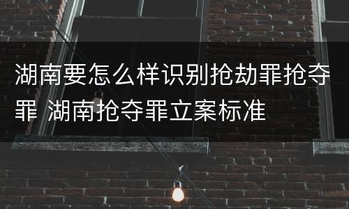 湖南要怎么样识别抢劫罪抢夺罪 湖南抢夺罪立案标准