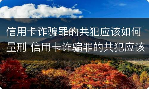 信用卡诈骗罪的共犯应该如何量刑 信用卡诈骗罪的共犯应该如何量刑呢