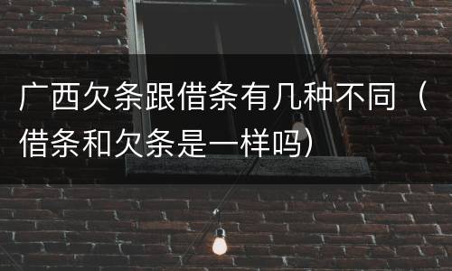 广西欠条跟借条有几种不同（借条和欠条是一样吗）