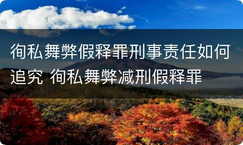 徇私舞弊假释罪刑事责任如何追究 徇私舞弊减刑假释罪