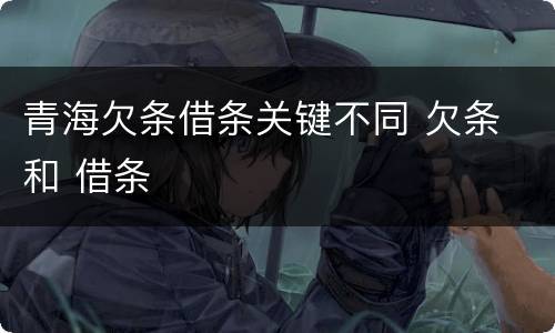 青海欠条借条关键不同 欠条 和 借条