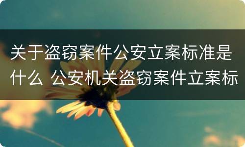 关于盗窃案件公安立案标准是什么 公安机关盗窃案件立案标准
