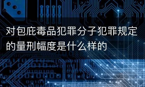 对包庇毒品犯罪分子犯罪规定的量刑幅度是什么样的