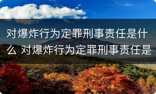 对爆炸行为定罪刑事责任是什么 对爆炸行为定罪刑事责任是什么