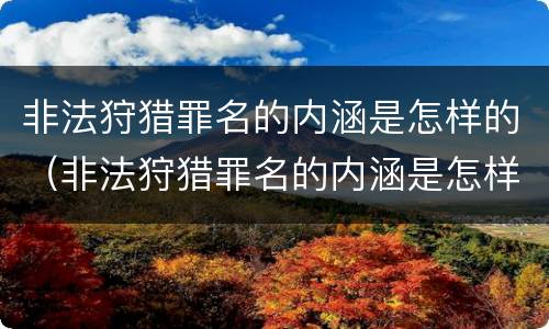 非法狩猎罪名的内涵是怎样的（非法狩猎罪名的内涵是怎样的呢）