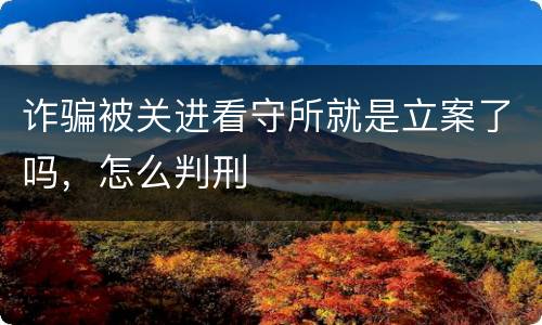 诈骗被关进看守所就是立案了吗，怎么判刑