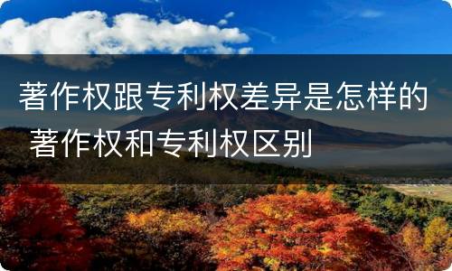 著作权跟专利权差异是怎样的 著作权和专利权区别