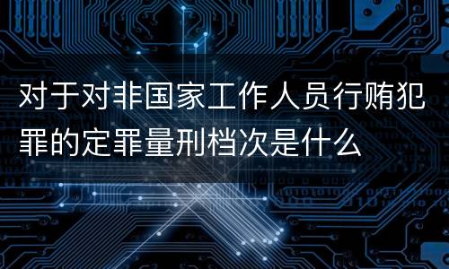 对于对非国家工作人员行贿犯罪的定罪量刑档次是什么