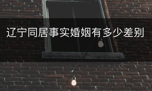 辽宁同居事实婚姻有多少差别