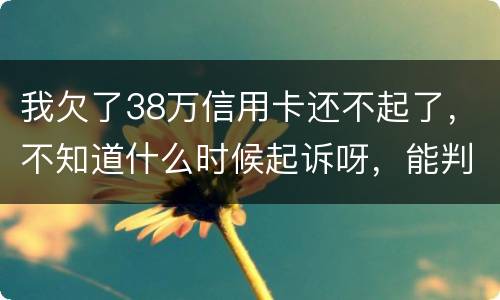 我欠了38万信用卡还不起了，不知道什么时候起诉呀，能判刑几年
