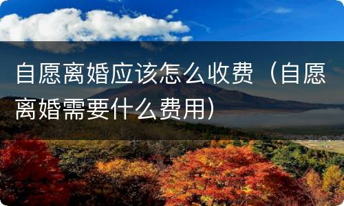 自愿离婚应该怎么收费（自愿离婚需要什么费用）