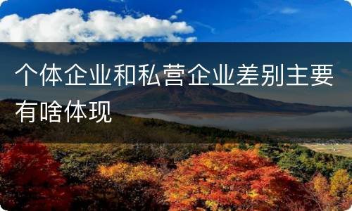 个体企业和私营企业差别主要有啥体现