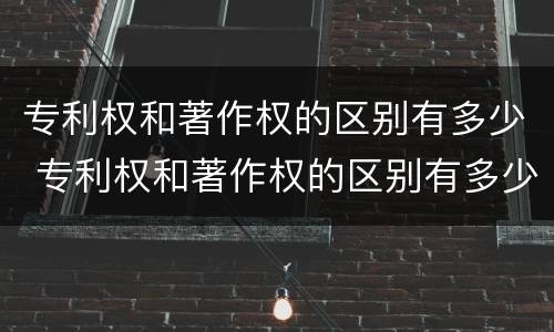 专利权和著作权的区别有多少 专利权和著作权的区别有多少种