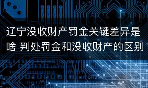 辽宁没收财产罚金关键差异是啥 判处罚金和没收财产的区别