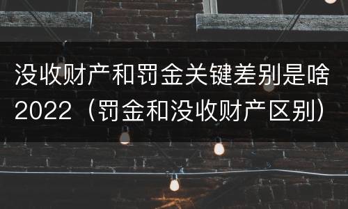 没收财产和罚金关键差别是啥2022（罚金和没收财产区别）