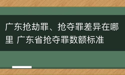 广东抢劫罪、抢夺罪差异在哪里 广东省抢夺罪数额标准